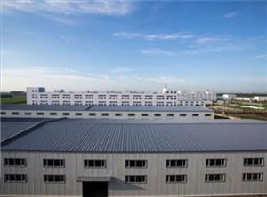 东莞 现代化简易厂房钢结构