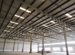 厂家东莞 镀锌钢结构厂房 宽91长135.6高9米钢结构